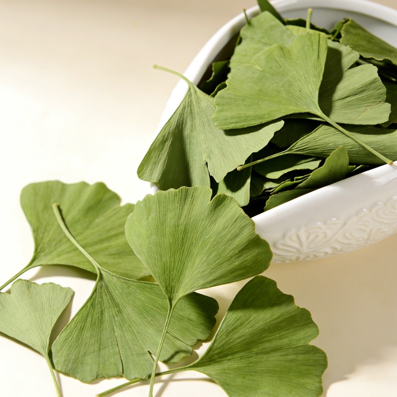 Quality Home Fragrance - Foglie di Ginkgo Biloba essiccate di