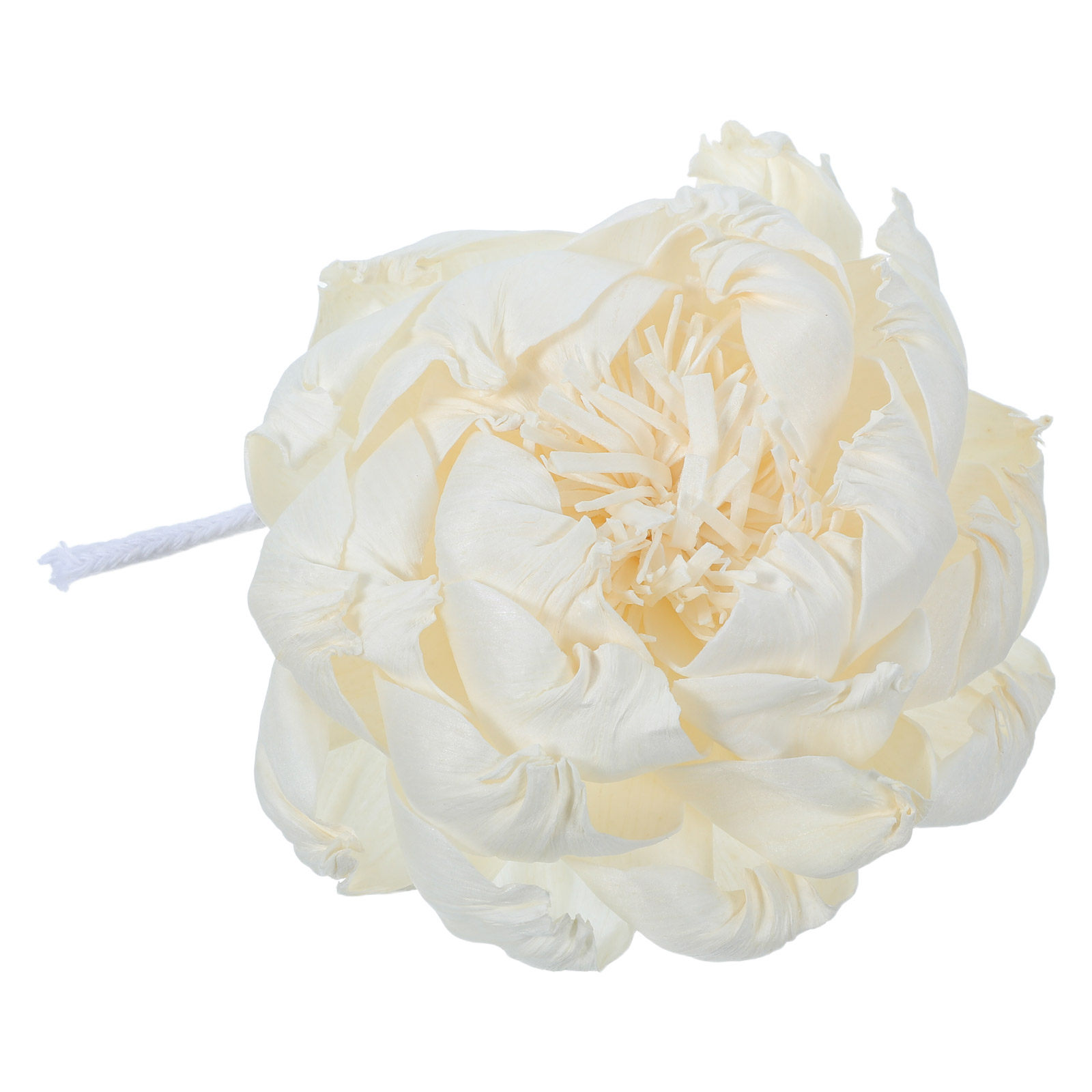 Diffusore di Fragranza a Forma - Home Fragrance Usa recensione e prezzo