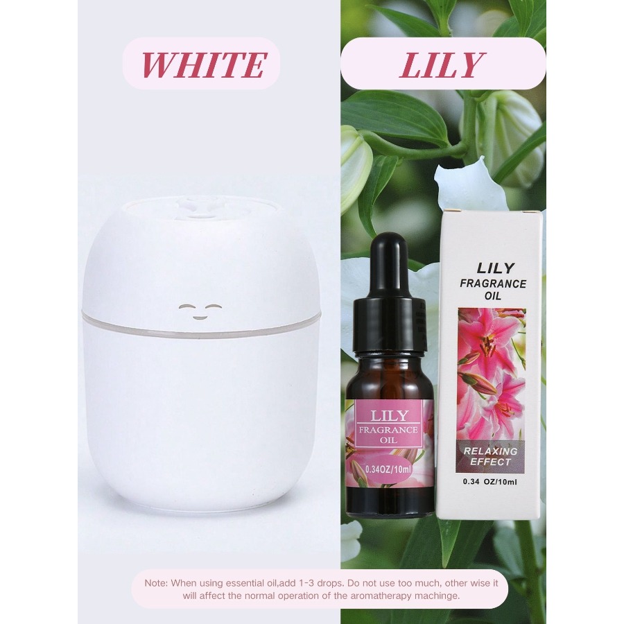 Diffusore di Aromi USB Mini da - Home Fragrance System recensione e prezzo