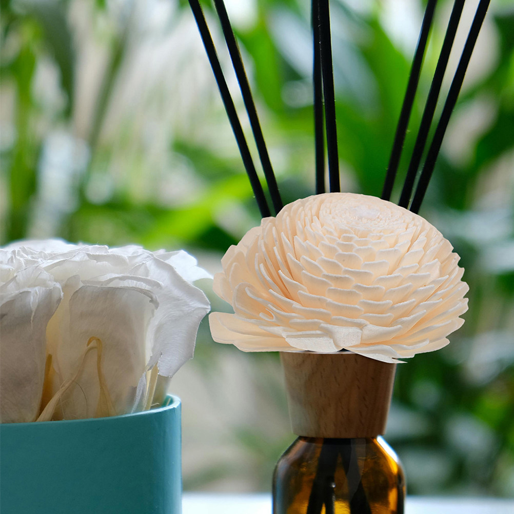 2 pezzi di testine a forma di  - Home Fragrance Usa recensione e prezzo
