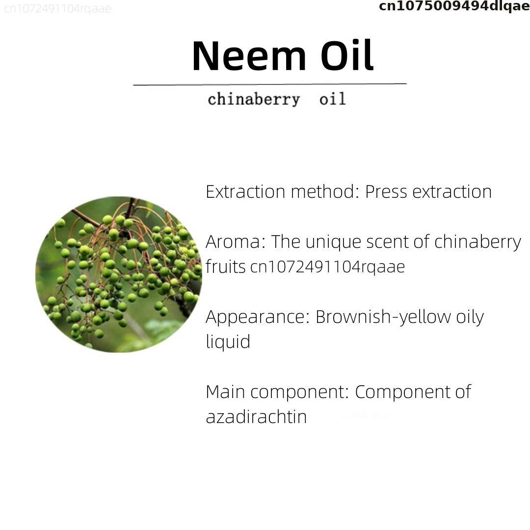 Olio di Neem, Loto Blu e Oud d - Quality Home Fragrance recensione e prezzo